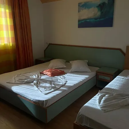 Pajura 3*