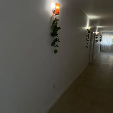 Guest house Pajura Costinesti